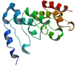 Chromosome 9 Open Reading Frame 139 (C9orf139)