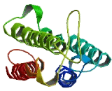 Suppressor APC Domain Containing Protein 2 (SAPCD2)