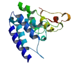 Chromosome 9 Open Reading Frame 152 (C9orf152)