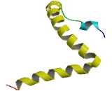 Chromosome 9 Open Reading Frame 16 (C9orf16)