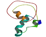 Chromosome 9 Open Reading Frame 163 (C9orf163)