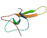 Chromosome 9 Open Reading Frame 170 (C9or<b>f170</b>)