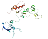 Chromosome 9 Open Reading Frame 171 (C9or<b>f171</b>)