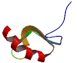 Chromosome 9 Open Reading Frame 172 (C9or<b>f172</b>)