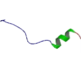 Chromosome 9 Open Reading Frame 173 (C9or<b>f173</b>)