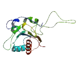 AhpC/TSA Antioxidant Enzyme Domain Containing Protein 1 (AAED1)