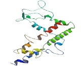 Ciliated Bronchial Epithelial Protein 1 (CBE1)