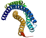 Myb/SANT Like DNA Binding Domain Containing Protein 3 (MSANTD3)