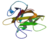 ARRDC1 Antisense Gene Protein 1 (ARRDC1-AS1)