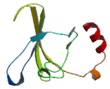 Chromosome 9 Open Reading Frame 40 (C9orf40)