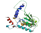 Chromosome 9 Open Reading Frame 41 (C9orf41)