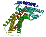 Chromosome 9 Open Reading Frame 43 (C9orf43)