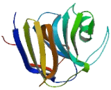 Chromosome 9 Open Reading Frame 47 (C9orf47)