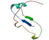 Chromosome 9 Open Reading Frame 51 (C9orf51)