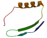 Chromosome 9 Open Reading Frame 64 (C9orf64)