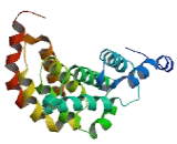 Spermatogenesis Associated Protein 6 Like Protein (SPATA6L)