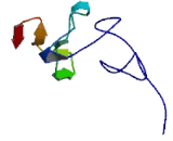 Transmembrane Protein 252 (TMEM252)