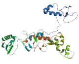 Chromosome 9 Open Reading Frame 72 (C9orf72)