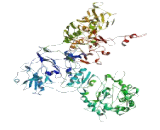 Spermatogenesis Associated Protein 31E1 (SPATA31E1)