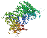 Chromosome 9 Open Reading Frame 84 (C9orf84)