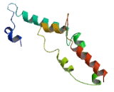 Chromosome 9 Open Reading Frame 85 (C9orf85)