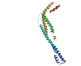 Chromosome 9 Open Reading Frame 9 (C9orf9)