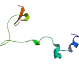 Chromosome 9 Open Reading Frame 92 (C9orf92)