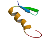 Chromosome Alignment Maintaining Phosphoprotein (CAMP)