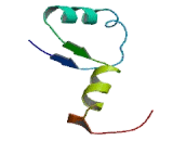 Chromosome Transmission Fidelity Protein 8 (CHTF8)