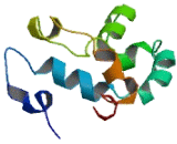 Transmembrane Protein 257 (TME<b>M257</b>)