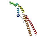 Polysaccharide Biosynthesis Domain Containing Protein 1 (PBDC1)