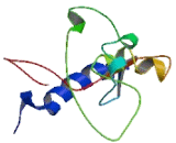 Chromosome X Open Reading Frame 30 (CXorf30)