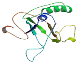 Chromosome X Open Reading Frame 40B (CXorf40B)