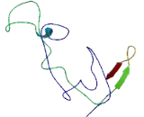 Proline Rich protein, Y-Linked (PRORY)