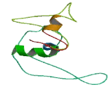 Chronic Lymphocytic Leukemia Up Regulated 1 Opposite Strand Protein (CLLU1OS)