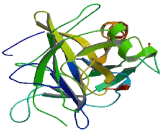 Chymotrypsin (CTR)