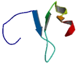 Chymotrypsin Like Protein (CTRL)