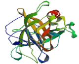 Chymotrypsinogen B1 (CTRB1)