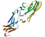 Cilia And Flagella Associated Protein 97 (CFAP97)