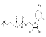 Citicoline (CTC)