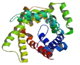 Citrate Transporter Protein, Mitochondrial (CTP)