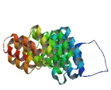 Clathrin, Heavy Polypeptide (CLTC)