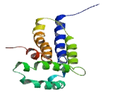 Clathrin, Light Polypeptide A (CLTA)