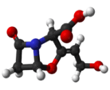 Clavulanic Acid (CA)