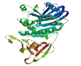 Cleavage And Polyadenylation Factor I (CLP1)