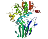 Cleavage And Polyadenylation Specific Factor 2 (CPSF2)