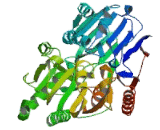 Cleavage And Polyadenylation Specific Factor 3 (CPSF3)