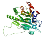 Cleavage And Polyadenylation Specific Factor 3 Like Protein (CPSF3L)