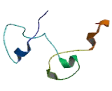 Cleavage And Polyadenylation Specific Factor 4 (CPSF4)