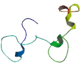 Cleavage And Polyadenylation Specific Factor 4 Like Protein (CPSF4L)